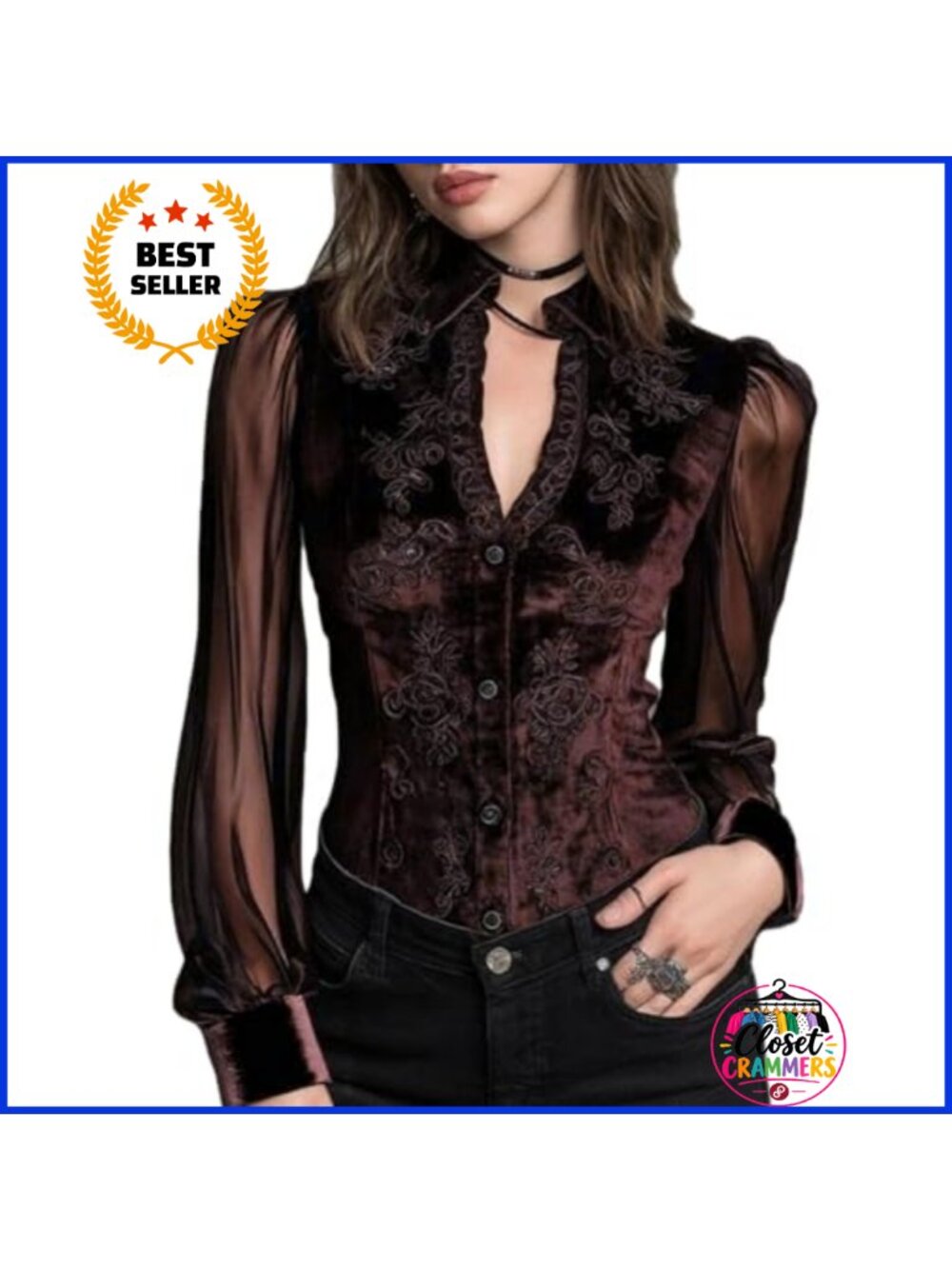 Velvet Floral Embroidered Sheer Sleeve Button Blouse Dressy